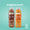 Vanille x12 Pack